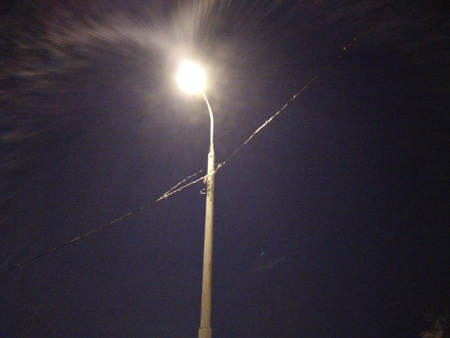 450x338  41 KB. Big one: 4608x3456  1516 KB