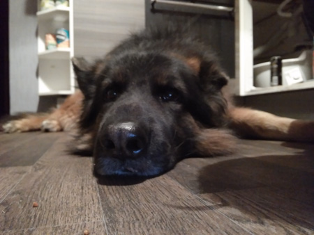 450x338  50 KB. Big one: 3200x2400  537 KB