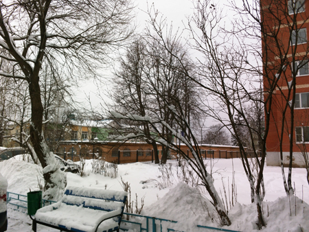 450x338  219 KB. Big one: 3264x2448  3885 KB