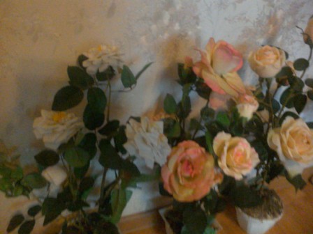 448x336  57 KB. Big one: 2560x1920  692 KB