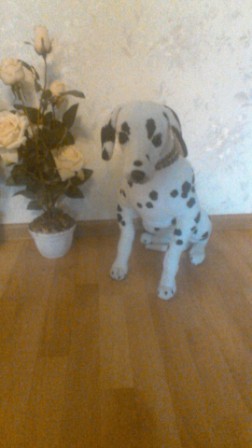 252x448  45 KB. Big one: 1080x1920  383 KB