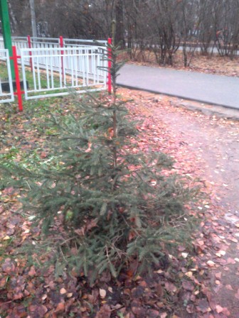 336x448  81 KB. Big one: 1920x2560  992 KB