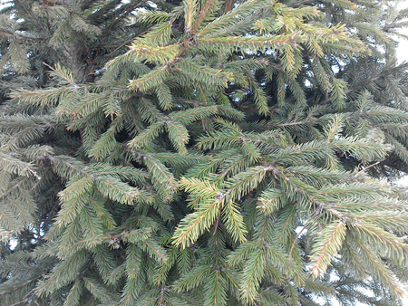 450x338  284 KB. Big one: 2560x1920  2982 KB