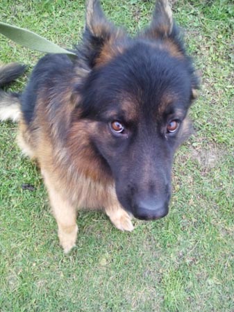 337x449  48 KB. Big one: 2448x3264  2331 KB