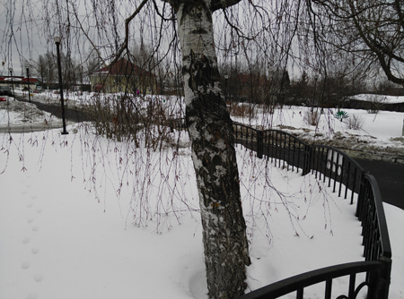 450x334  167 KB. Big one: 4208x3120  5284 KB