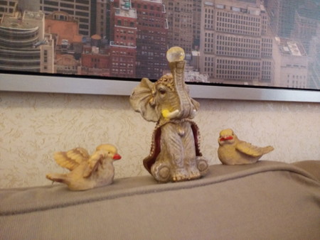 450x338  129 KB. Big one: 3264x2448  1733 KB