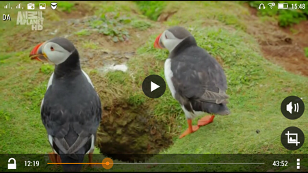 450x253  197 KB. Big one: 1280x720  1195 KB