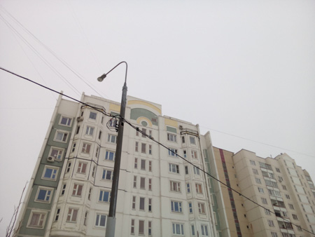 450x338  44 KB. Big one: 3264x2448  563 KB