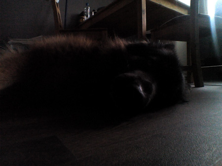 450x338  41 KB. Big one: 1600x1200  295 KB