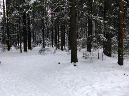 450x338  46 KB. Big one: 3264x2448  1074 KB