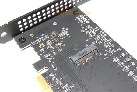 450x302  36 KB. Big one: 1500x1005  220 KB