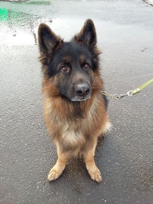 300x399  30 KB. Big one: 2448x3264  1983 KB