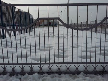 450x338  51 KB. Big one: 3264x2448  1231 KB