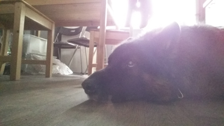 450x253  50 KB. Big one: 2560x1440  458 KB