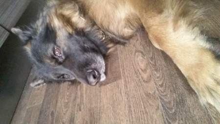 450x253  48 KB. Big one: 2560x1440  565 KB