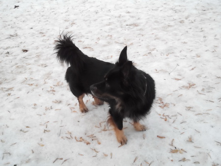 450x338  58 KB. Big one: 3264x2448  1381 KB