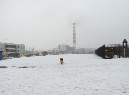 450x333  51 KB. Big one: 4192x3104  1060 KB