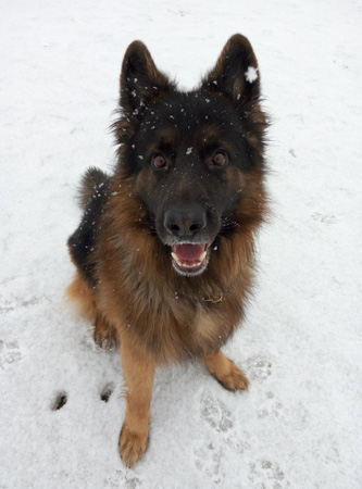 333x450  50 KB. Big one: 3104x4192  1624 KB