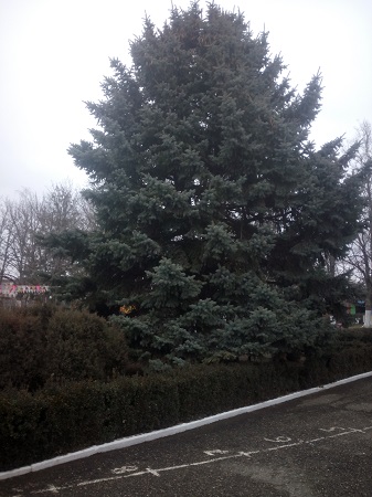 337x450  123 KB. Big one: 3696x4928  3068 KB