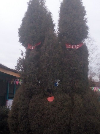 337x450  108 KB. Big one: 3696x4928  1958 KB