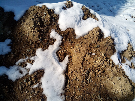 450x338  135 KB. Big one: 3264x2448  2461 KB