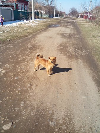 338x450  100 KB. Big one: 2448x3264  1684 KB