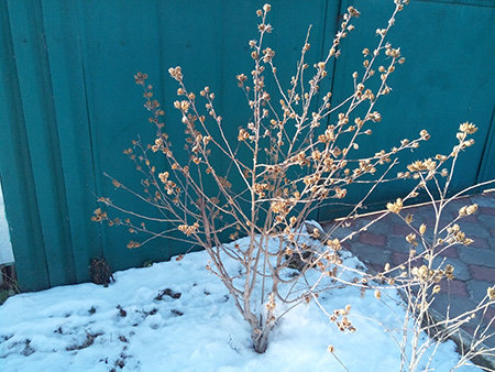 450x338  125 KB. Big one: 3264x2448  1947 KB