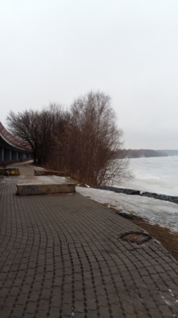 252x448  44 KB. Big one: 2322x4128  2605 KB