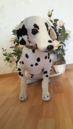 252x448  48 KB. Big one: 1440x2560  998 KB