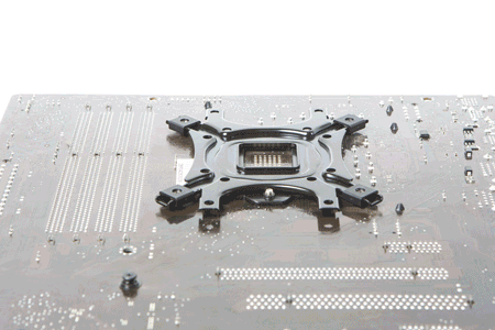 450x300  154 KB. Big one: 1500x1000  1330 KB