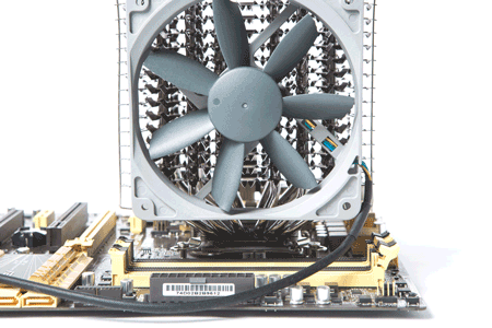 450x300  112 KB. Big one: 1500x1000  983 KB