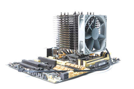 450x300  64 KB. Big one: 1500x1000  266 KB