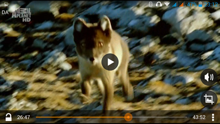 450x253  193 KB. Big one: 1280x720  1030 KB