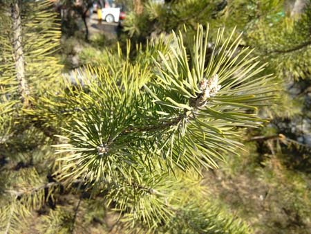 450x338  49 KB. Big one: 3264x2448  1715 KB