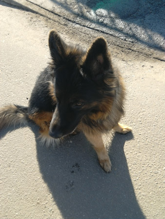 338x450  58 KB. Big one: 2448x3264  1557 KB