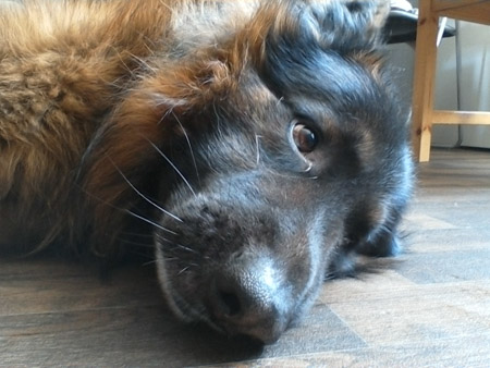 450x338  52 KB. Big one: 1440x1080  332 KB