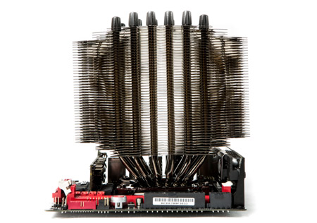 450x316  78 KB. Big one: 1500x1052  429 KB