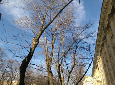 450x334  241 KB. Big one: 4208x3120  6448 KB