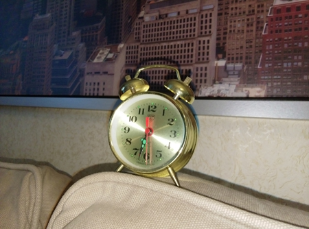 450x334  132 KB. Big one: 4208x3120  3053 KB