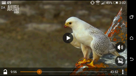 450x253  163 KB. Big one: 1500x844  1205 KB