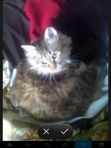 225x300  163 KB. Big one: 768x1024  812 KB