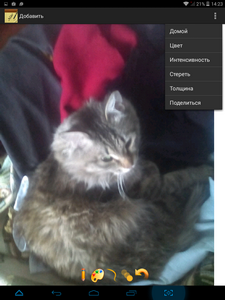 225x300  149 KB. Big one: 768x1024  460 KB