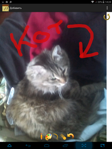 225x300  156 KB. Big one: 768x1024  492 KB