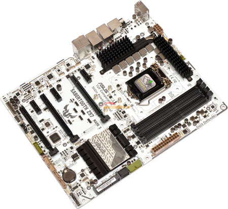 450x412  80 KB. Big one: 2000x1832  572 KB