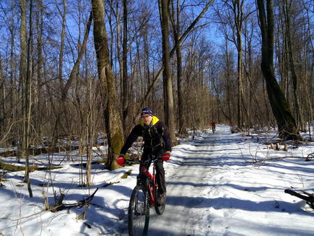 450x338  62 KB. Big one: 4160x3120  6502 KB