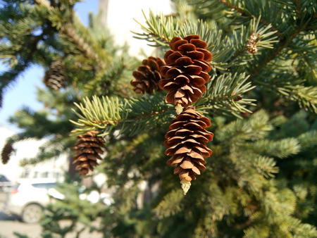 450x338  52 KB. Big one: 4160x3120  3493 KB