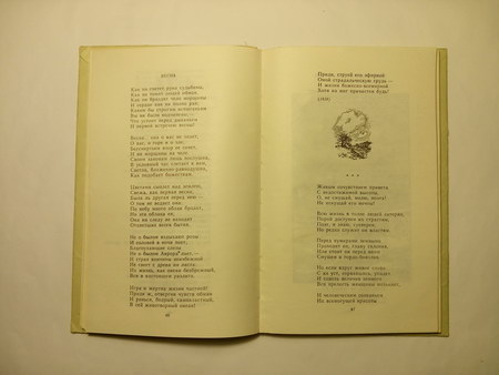 450x338  27 KB. Big one: 4160x3120  3113 KB