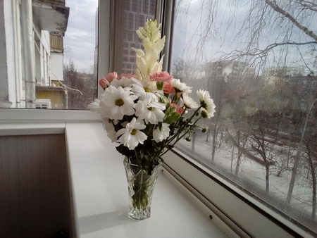 450x338  44 KB. Big one: 2560x1920  1857 KB