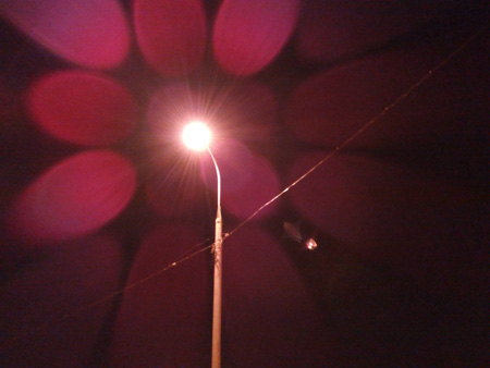 450x338  41 KB. Big one: 4160x3120  1375 KB