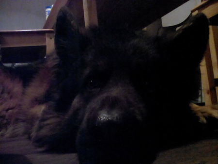 450x338  56 KB. Big one: 1600x1200  198 KB